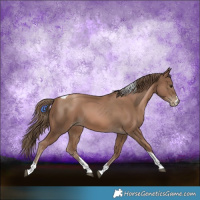 Horse Color:Black Pearl Tobiano 