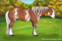Horse Color:White Spotted Silver Bay Splash