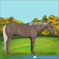 Horse Color:Silver Black 