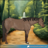 Horse Color:Liver Red Dun Rabicano 