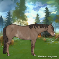 Horse Color:Liver Red Dun Rabicano