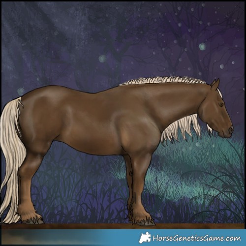Horse Color:Chocolate Palomino 