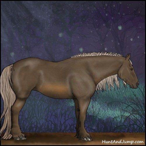 Horse Color:Chocolate Palomino 