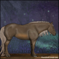 Horse Color:Chocolate Palomino