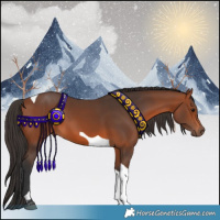 Horse Color:Bay Tobiano 