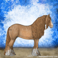 Horse Color:Red Roan  and Red Roan Splash 