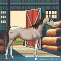 Horse Color:Classic Champagne Dun Splash Tobiano 