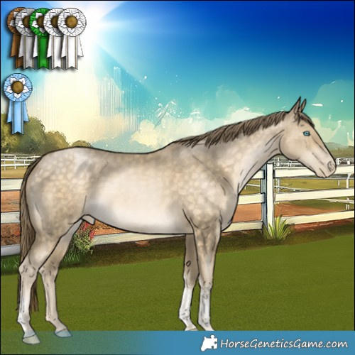 Horse Color:Buckskin Pearl Tobiano 
