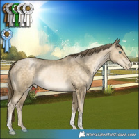 Horse Color:Buckskin Pearl Tobiano 