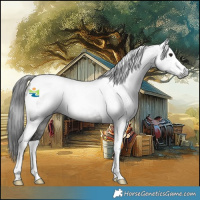 Horse Color:Gray Grullo Tobiano 