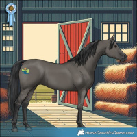 Horse Color:Grullo Rabicano 