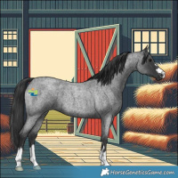 Horse Color:Blue Roan