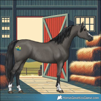 Horse Color:Grullo Rabicano 