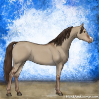 Horse Color:Liver Red Dun