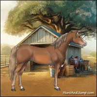 Horse Color:Chestnut Splash 
