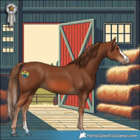Horse Color:Chestnut Splash 