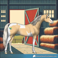 Horse Color:Palomino Tobiano 