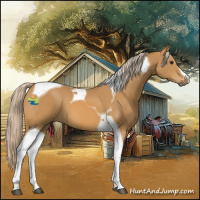 Horse Color:Palomino Tobiano 