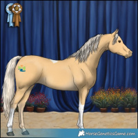 Horse Color:Palomino Tobiano 