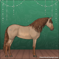 Horse Color:Red Dun 
