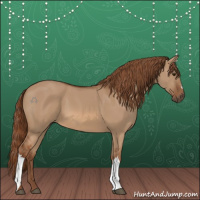 Horse Color:Red Dun 
