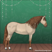 Horse Color:Red Dun 