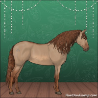 Horse Color:Red Dun 