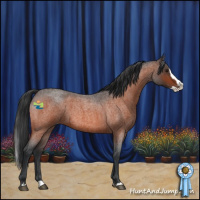 Horse Color:Brown Roan Splash 