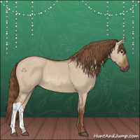 Horse Color:Red Dun 
