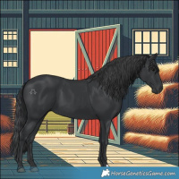 Horse Color:Black 