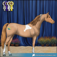 Horse Color:Red Roan Tobiano 