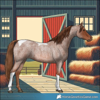 Horse Color:Red Roan Tobiano 