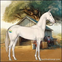 Horse Color:Perlino Rabicano 