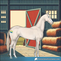 Horse Color:Perlino 