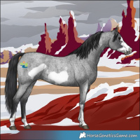 Horse Color:Blue Roan Sabino Frame 