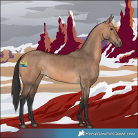 Horse Color:Bay Dun 