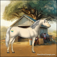 Horse Color:Palomino Roan Dun 