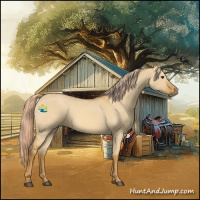 Horse Color:Palomino Roan Dun 