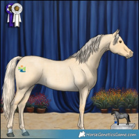 Horse Color:Palomino Roan Dun 