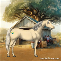 Horse Color:Palomino Roan Dun 