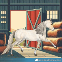 Horse Color:Palomino Roan Dun 