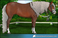 Horse Color:Silver Bay Sabino Rabicano 