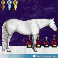 Horse Color:White Spotted Silver Buckskin Dun Sabino Rabicano 