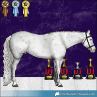 Horse Color:White Spotted Silver Buckskin Dun Sabino Rabicano