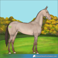 Horse Color:Amber Champagne Dun Rabicano 