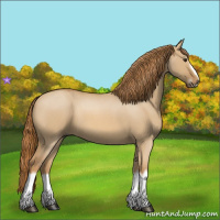 Horse Color:Red Dun Roan Splash Frame Rabicano 