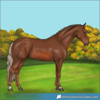 Horse Color:Chestnut 