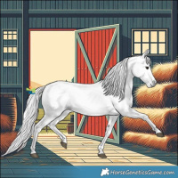 Horse Color:Gray White Spotted Black Sabino