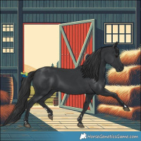 Horse Color:Black 