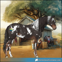 Horse Color:White Spotted Liver Chestnut 